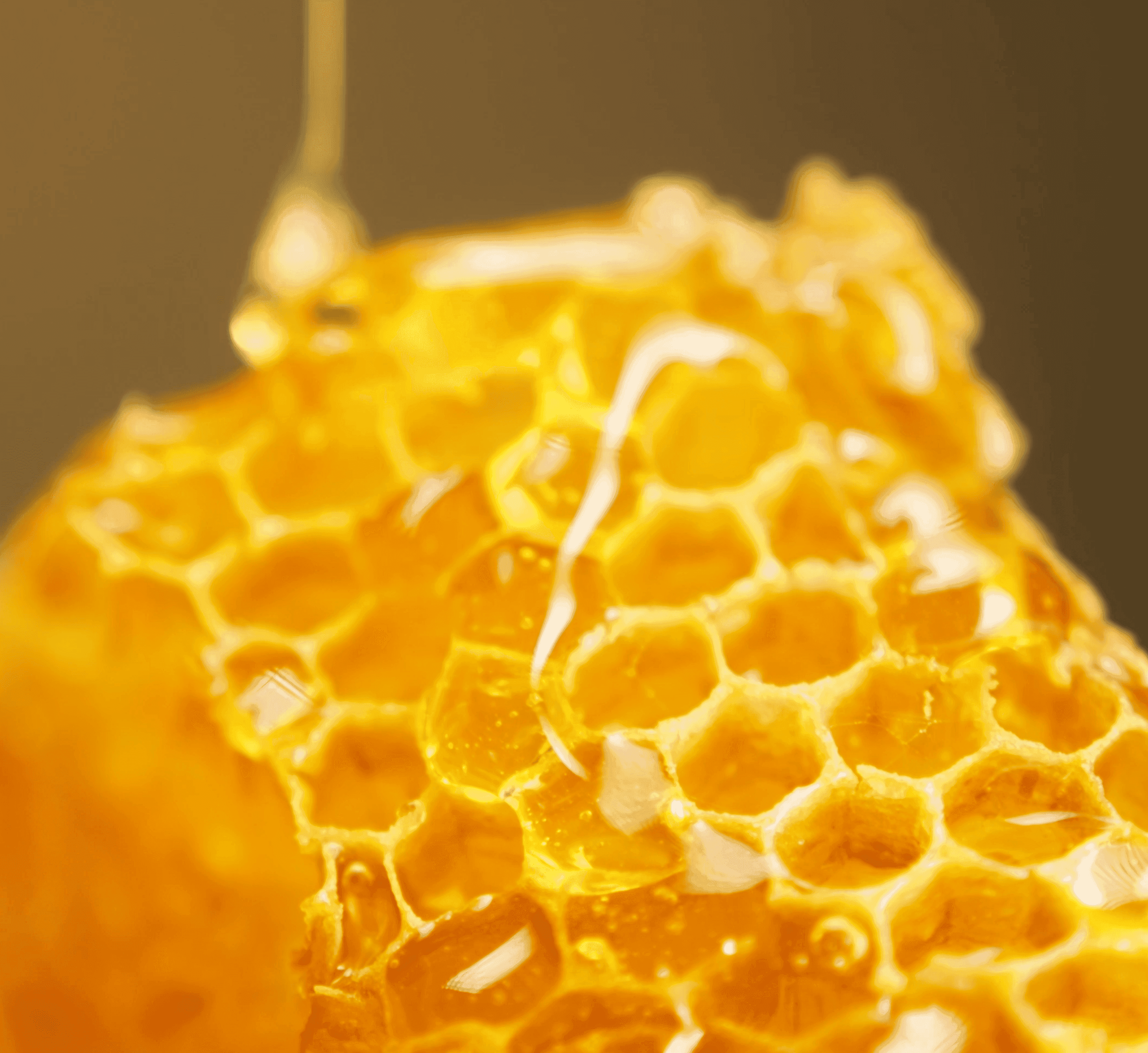 BeeSTAR project
